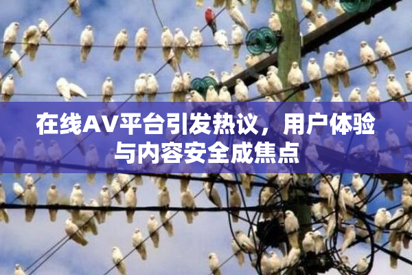 在线AV平台引发热议，用户体验与内容安全成焦点