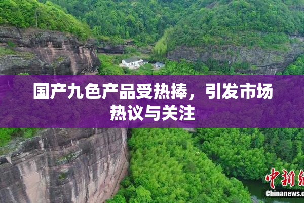 国产九色产品受热捧，引发市场热议与关注