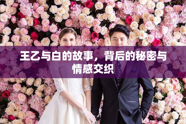 王乙与白的故事，背后的秘密与情感交织