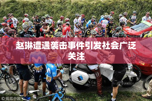 赵琳遭遇袭击事件引发社会广泛关注