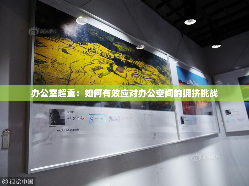 办公室超重：如何有效应对办公空间的拥挤挑战