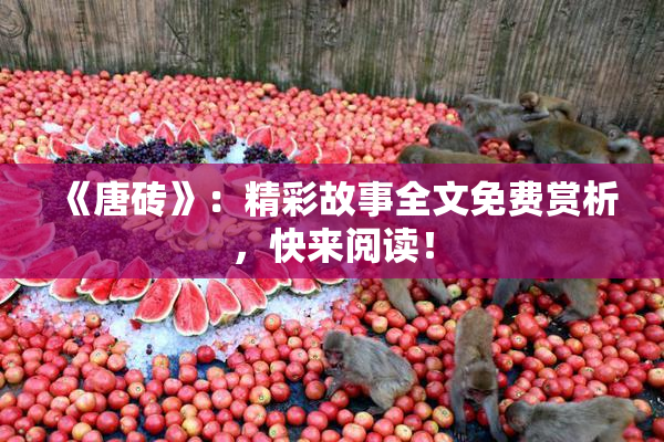 《唐砖》：精彩故事全文免费赏析，快来阅读！