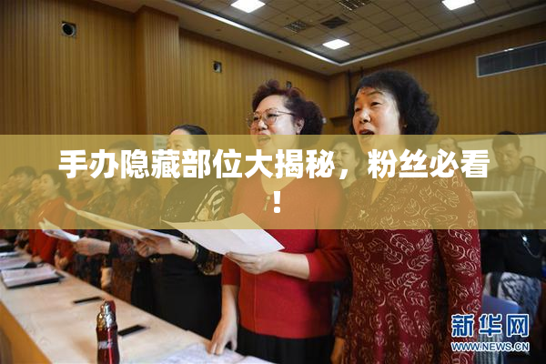 手办隐藏部位大揭秘，粉丝必看！