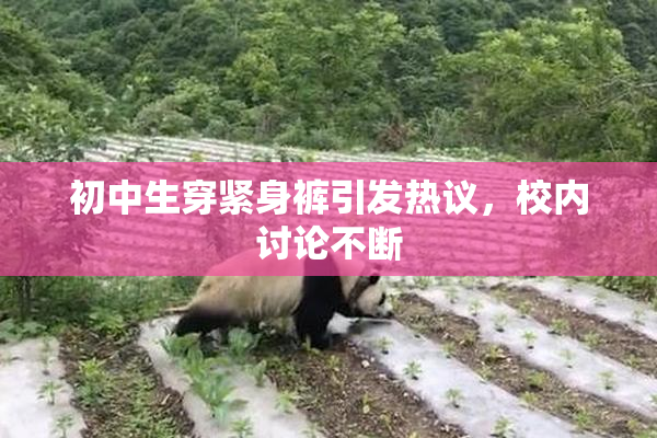 初中生穿紧身裤引发热议，校内讨论不断