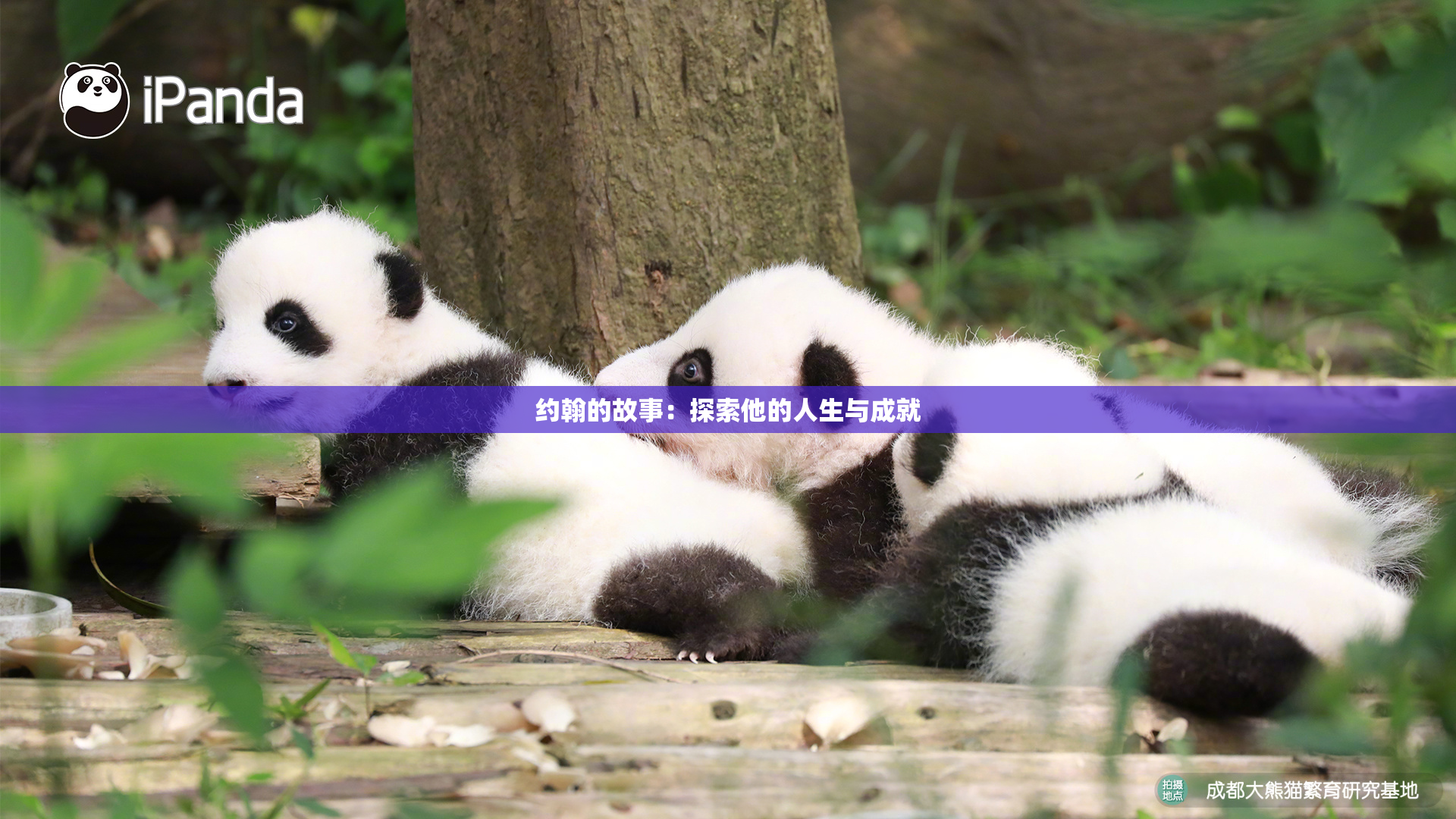 约翰的故事：探索他的人生与成就
