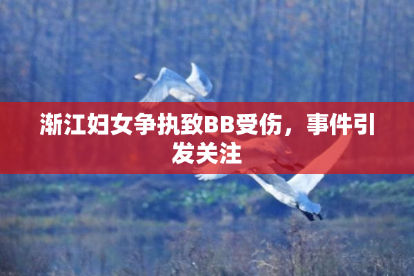 渐江妇女争执致BB受伤，事件引发关注