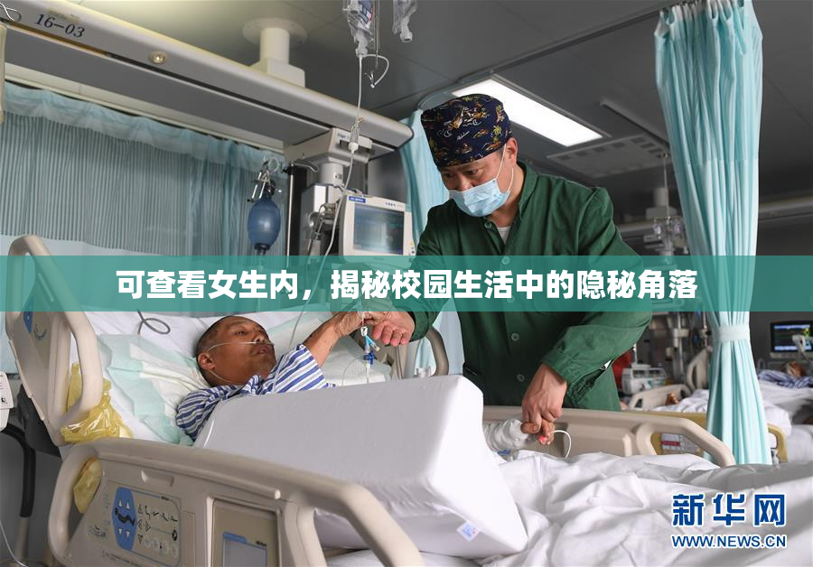 可查看女生内，揭秘校园生活中的隐秘角落