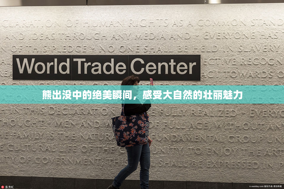 熊出没中的绝美瞬间，感受大自然的壮丽魅力