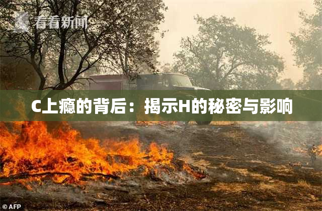 C上瘾的背后：揭示H的秘密与影响