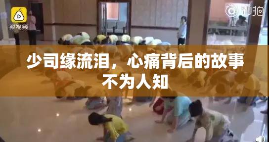 少司缘流泪，心痛背后的故事不为人知