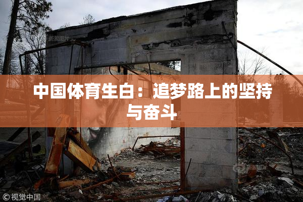 中国体育生白：追梦路上的坚持与奋斗