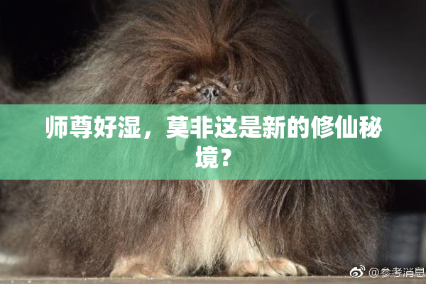 师尊好湿，莫非这是新的修仙秘境？