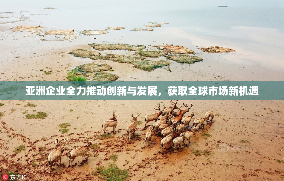 亚洲企业全力推动创新与发展，获取全球市场新机遇