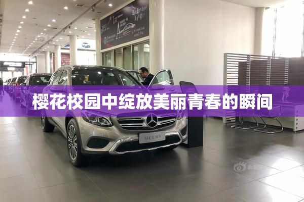 樱花校园中绽放美丽青春的瞬间