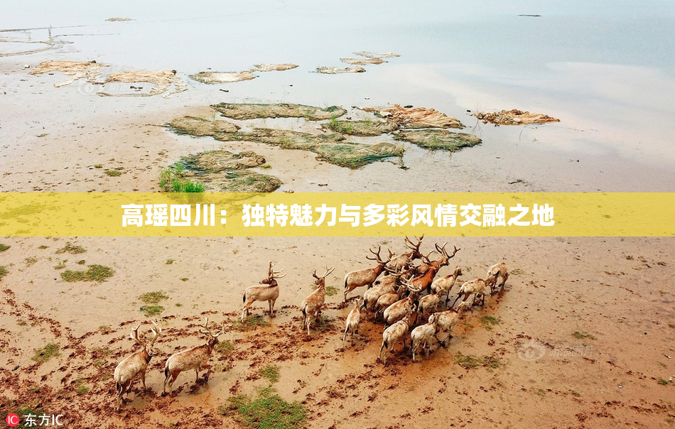 高瑶四川：独特魅力与多彩风情交融之地