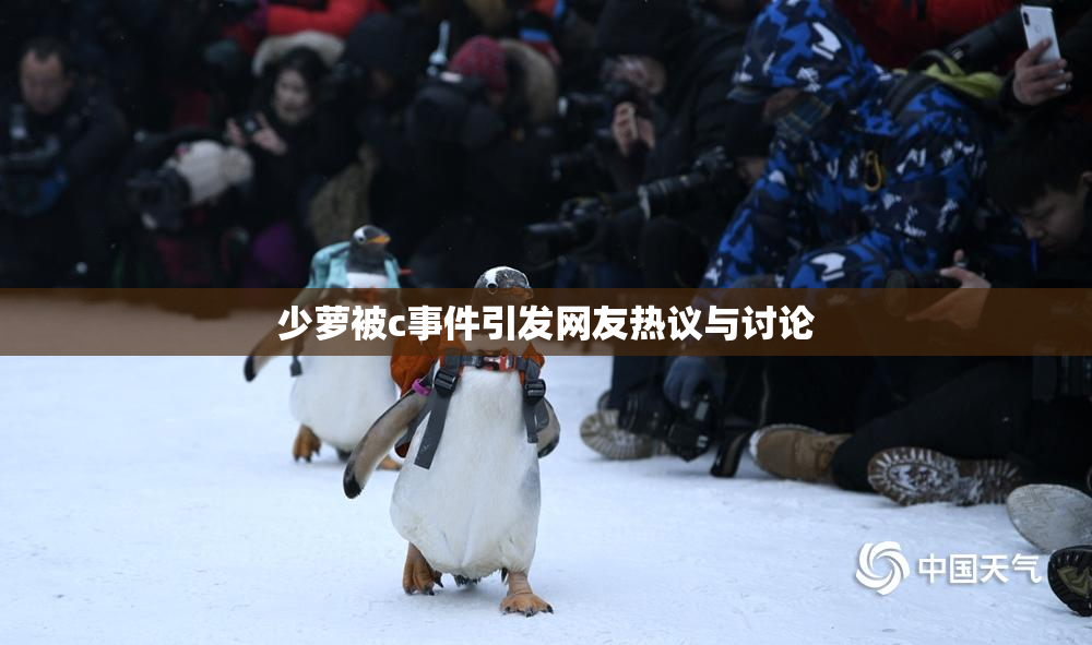 少萝被c事件引发网友热议与讨论