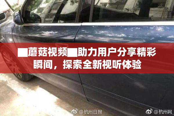 ▇蘑菇视频▇助力用户分享精彩瞬间，探索全新视听体验