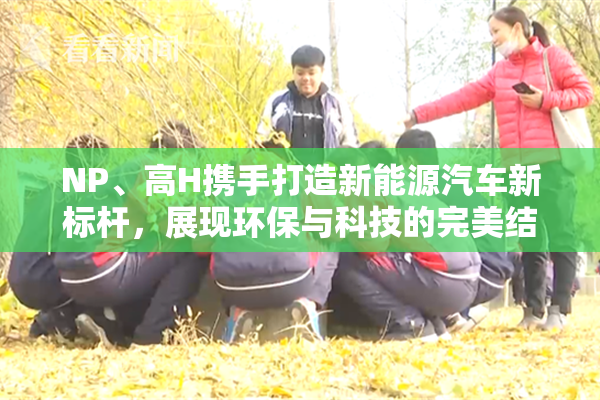 NP、高H携手打造新能源汽车新标杆，展现环保与科技的完美结合。
