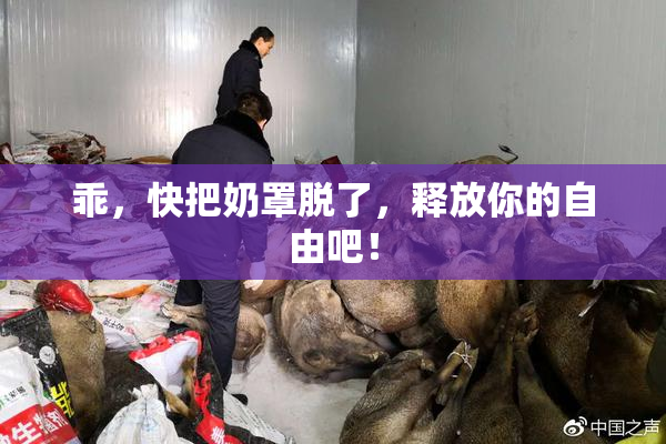 乖，快把奶罩脱了，释放你的自由吧！