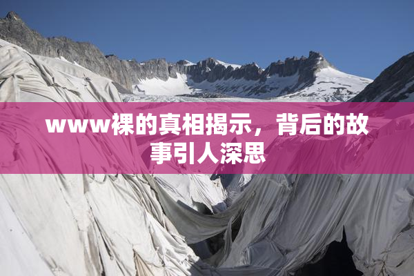 www裸的真相揭示，背后的故事引人深思