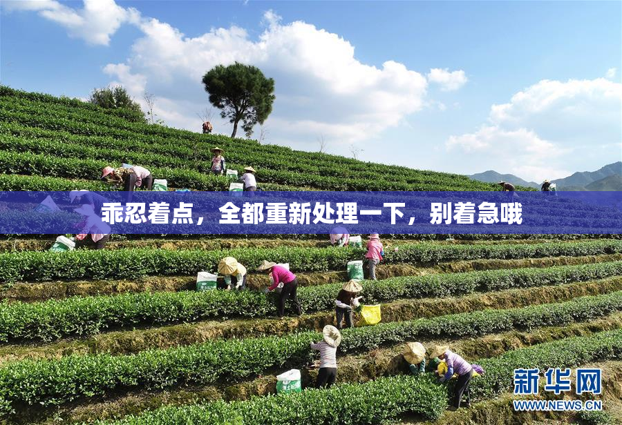 乖忍着点，全都重新处理一下，别着急哦