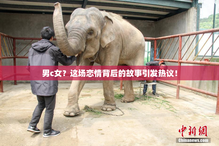 男c女？这场恋情背后的故事引发热议！