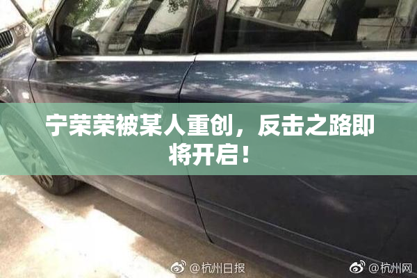 宁荣荣被某人重创，反击之路即将开启！