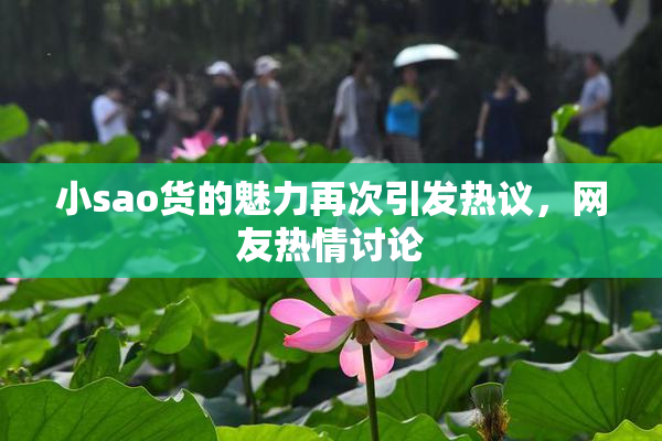 小sao货的魅力再次引发热议，网友热情讨论