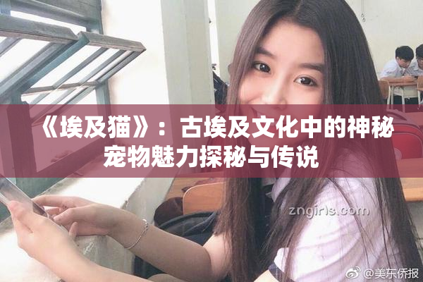 《埃及猫》：古埃及文化中的神秘宠物魅力探秘与传说