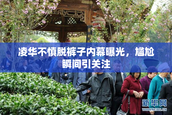 凌华不慎脱裤子内幕曝光，尴尬瞬间引关注