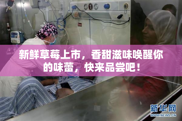 新鲜草莓上市，香甜滋味唤醒你的味蕾，快来品尝吧！