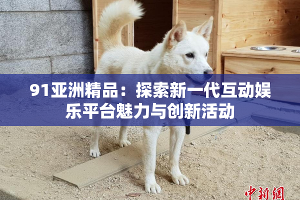 91亚洲精品：探索新一代互动娱乐平台魅力与创新活动