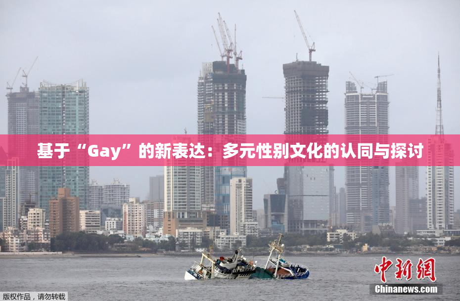 基于“Gay”的新表达：多元性别文化的认同与探讨
