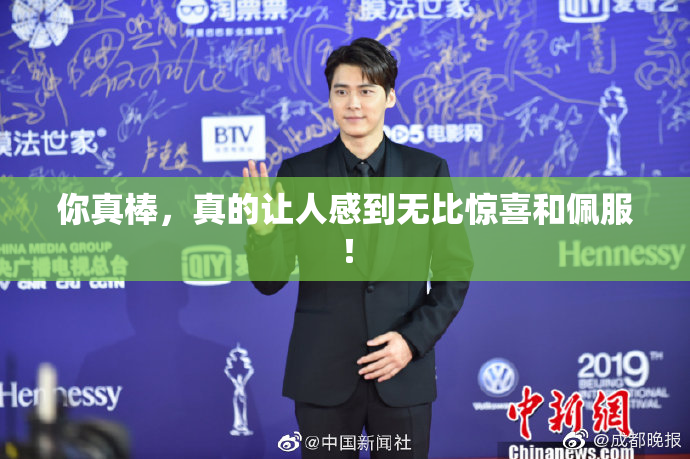 你真棒，真的让人感到无比惊喜和佩服！