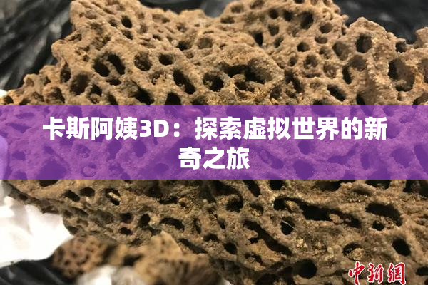卡斯阿姨3D：探索虚拟世界的新奇之旅