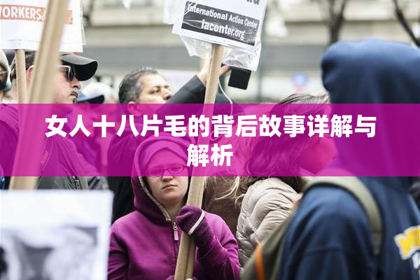 女人十八片毛的背后故事详解与解析