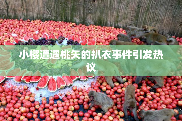 小樱遭遇桃矢的扒衣事件引发热议