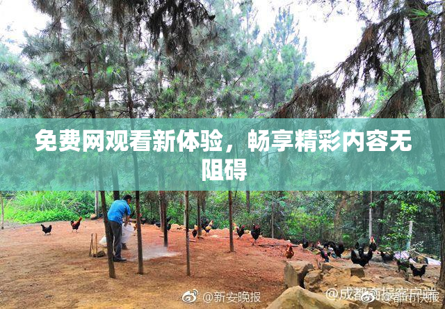 免费网观看新体验，畅享精彩内容无阻碍