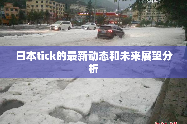 日本tick的最新动态和未来展望分析