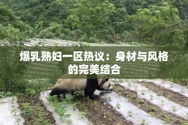 爆乳熟妇一区热议：身材与风格的完美结合
