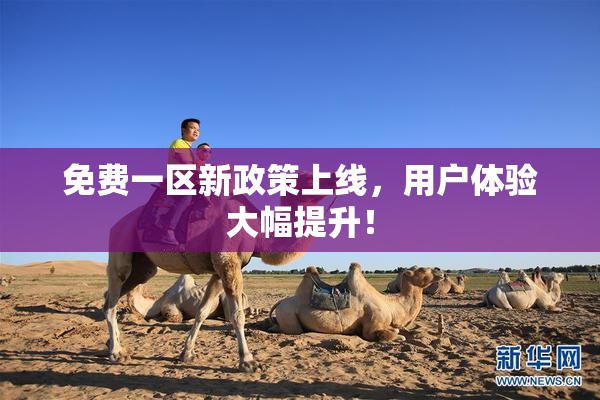 免费一区新政策上线，用户体验大幅提升！