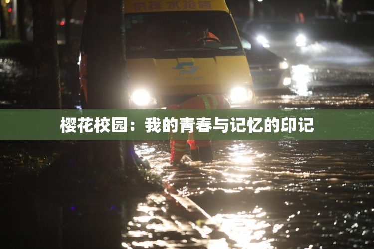 樱花校园：我的青春与记忆的印记