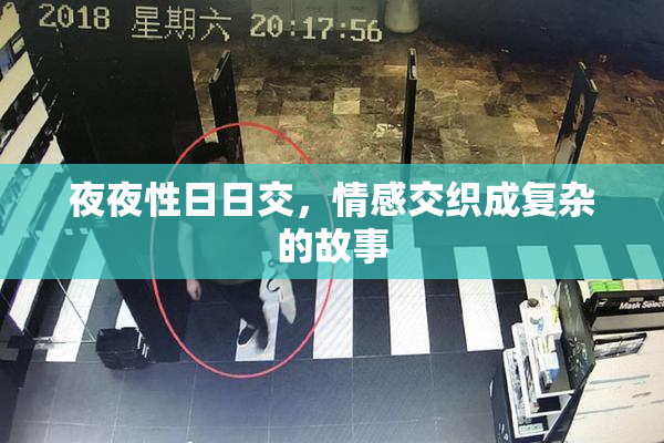 夜夜性日日交，情感交织成复杂的故事