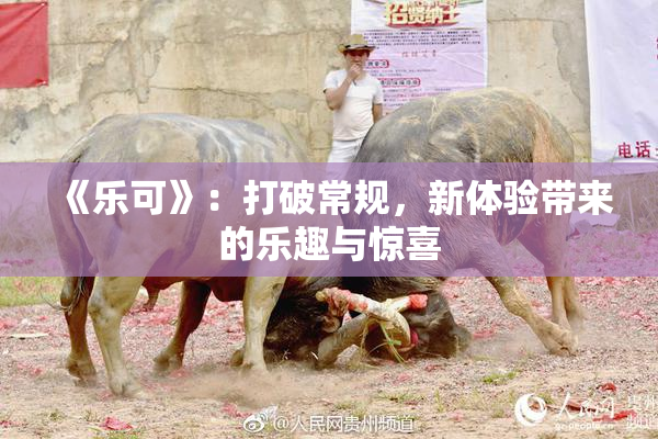 《乐可》：打破常规，新体验带来的乐趣与惊喜