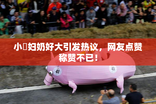 小婬妇奶好大引发热议，网友点赞称赞不已！