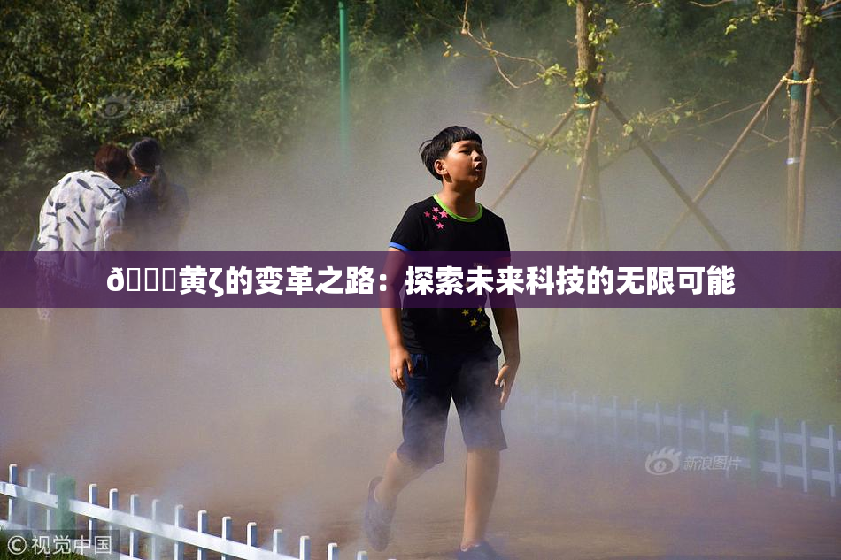 🔞黄ζ的变革之路：探索未来科技的无限可能