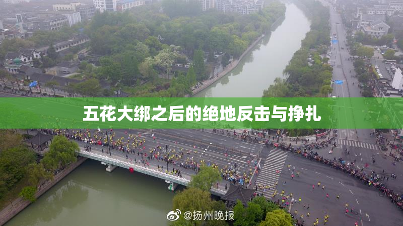 五花大绑之后的绝地反击与挣扎