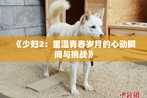 《少妇2：重温青春岁月的心动瞬间与挑战》