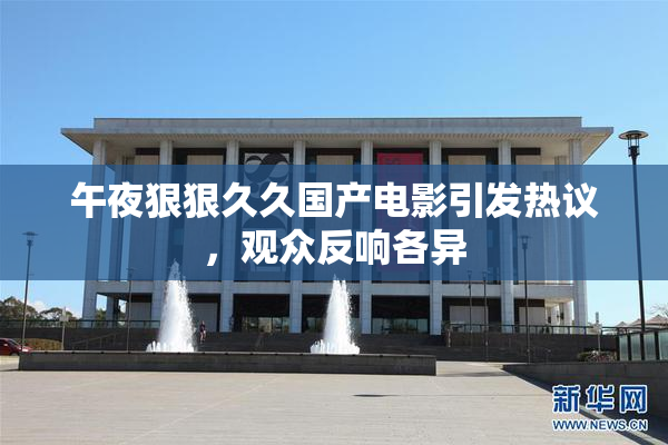 午夜狠狠久久国产电影引发热议，观众反响各异