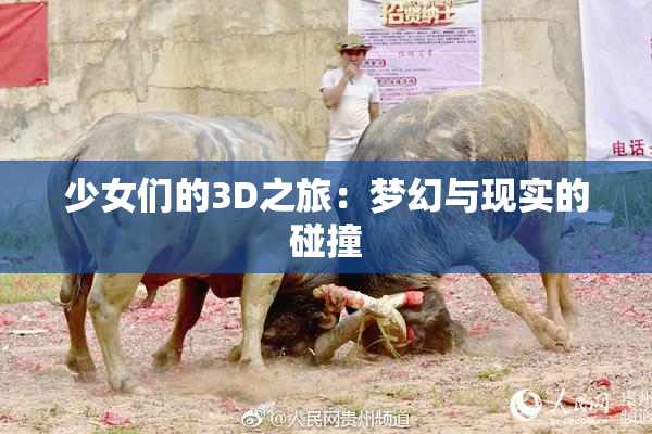 少女们的3D之旅：梦幻与现实的碰撞